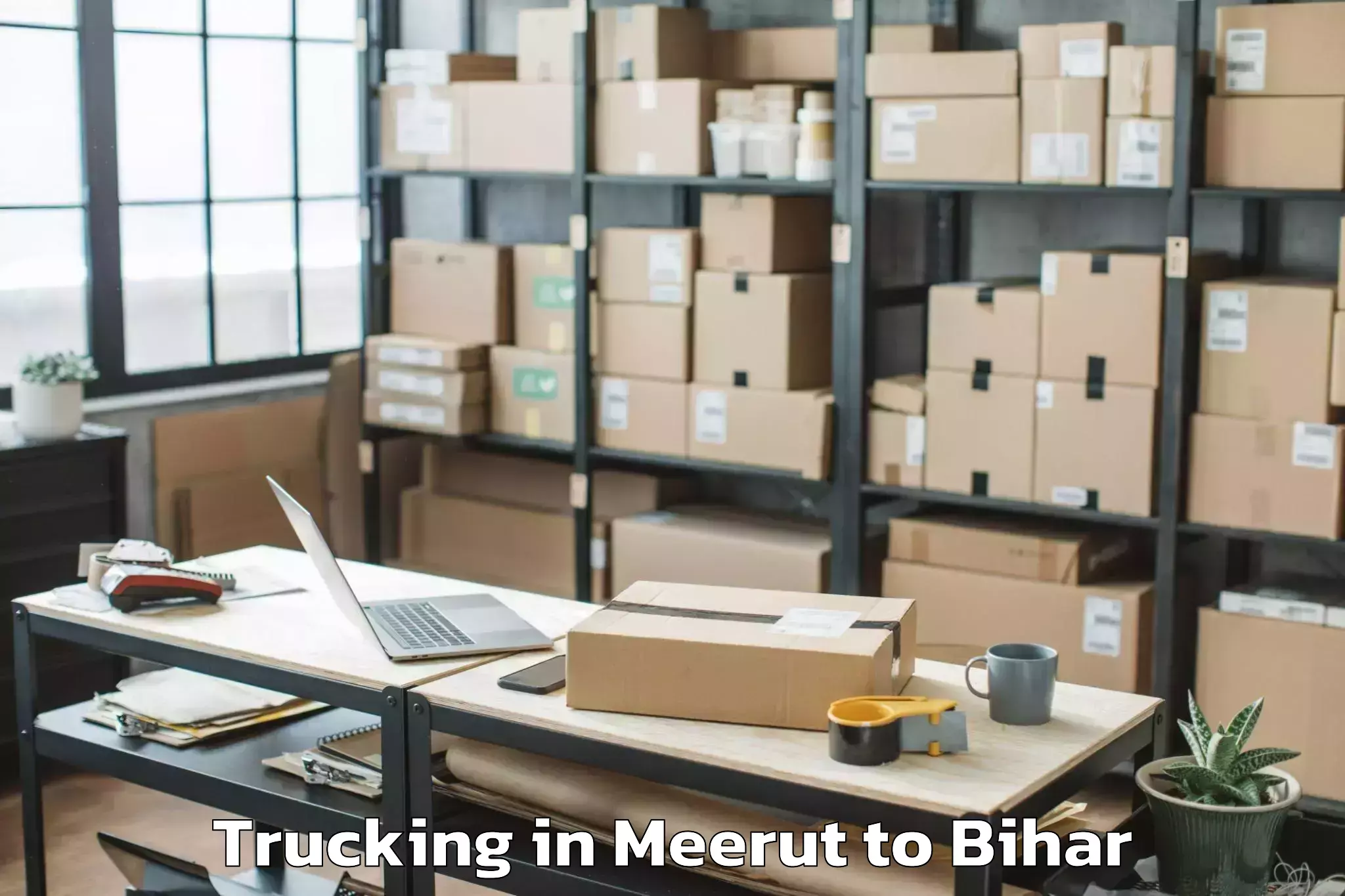 Professional Meerut to Bhitaha Trucking